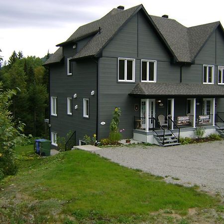 Vue Sur La Montagne Villa LʼAnse-Saint-Jean Eksteriør bilde