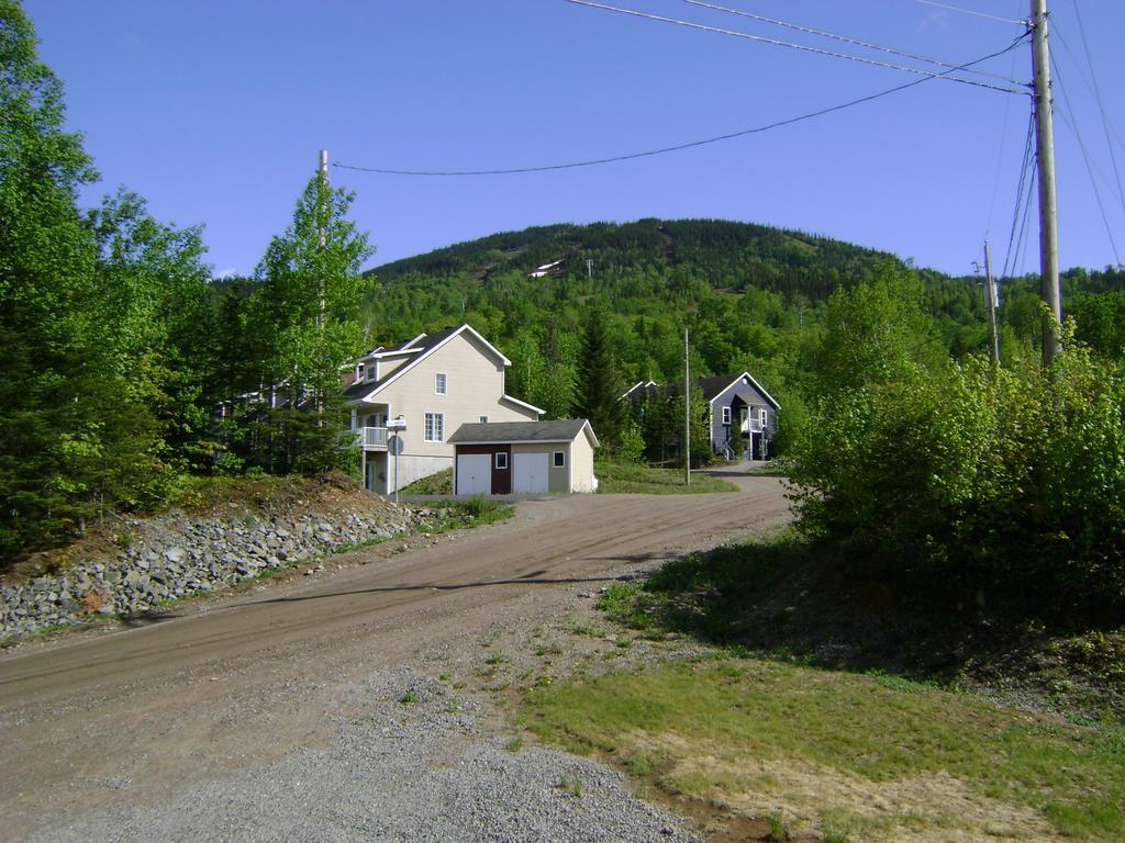 Vue Sur La Montagne Villa LʼAnse-Saint-Jean Eksteriør bilde