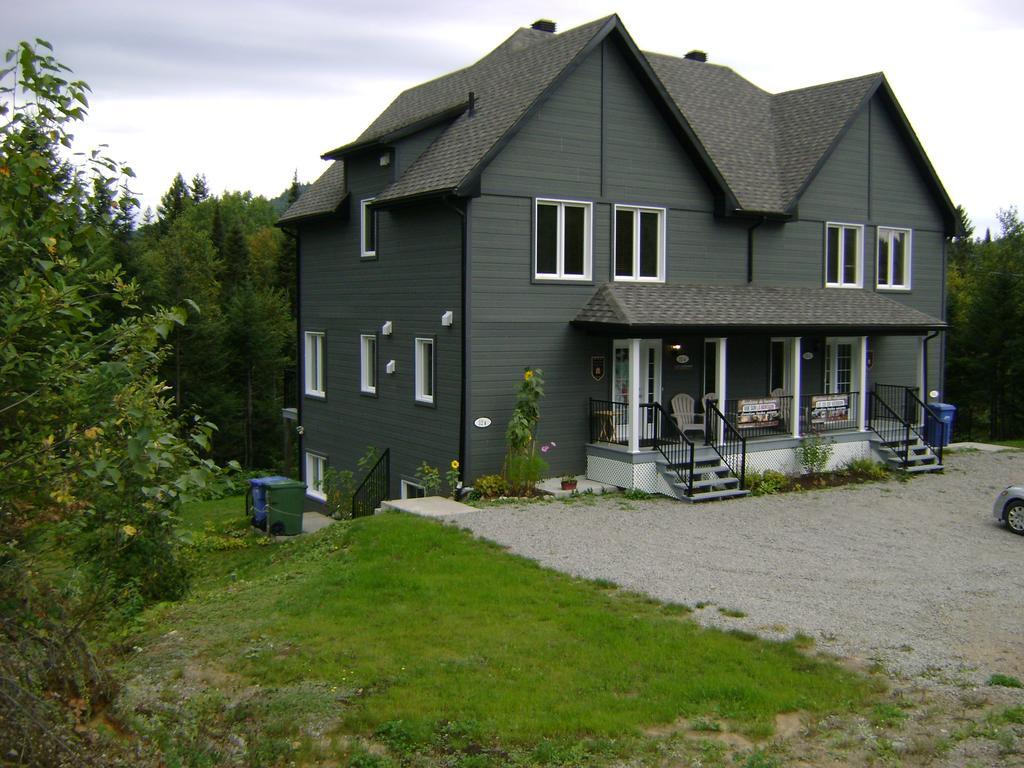 Vue Sur La Montagne Villa LʼAnse-Saint-Jean Eksteriør bilde